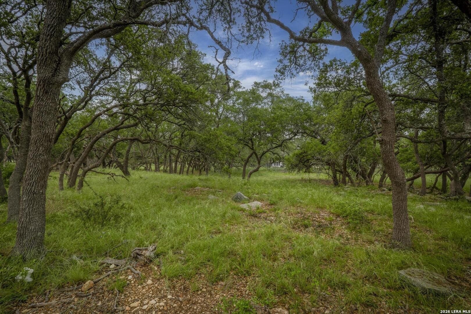 1.01 acres in Comal County - photo 14