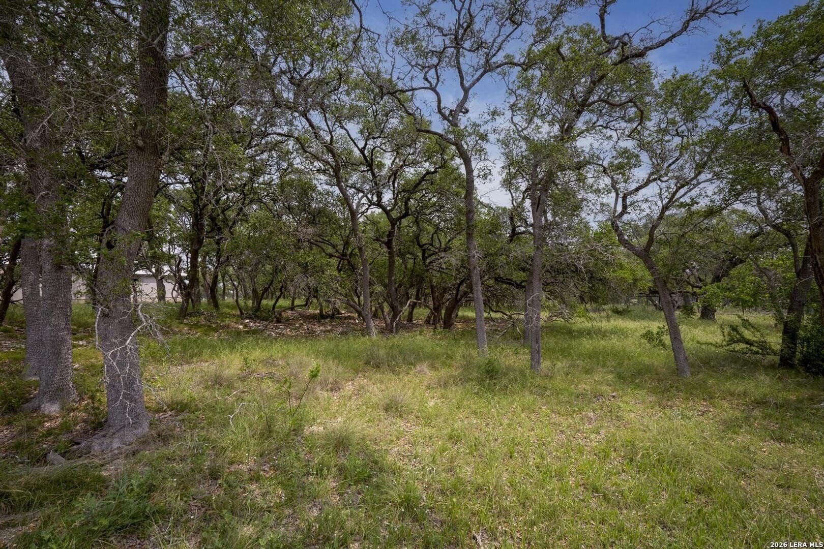 1.01 acres in Comal County - photo 24
