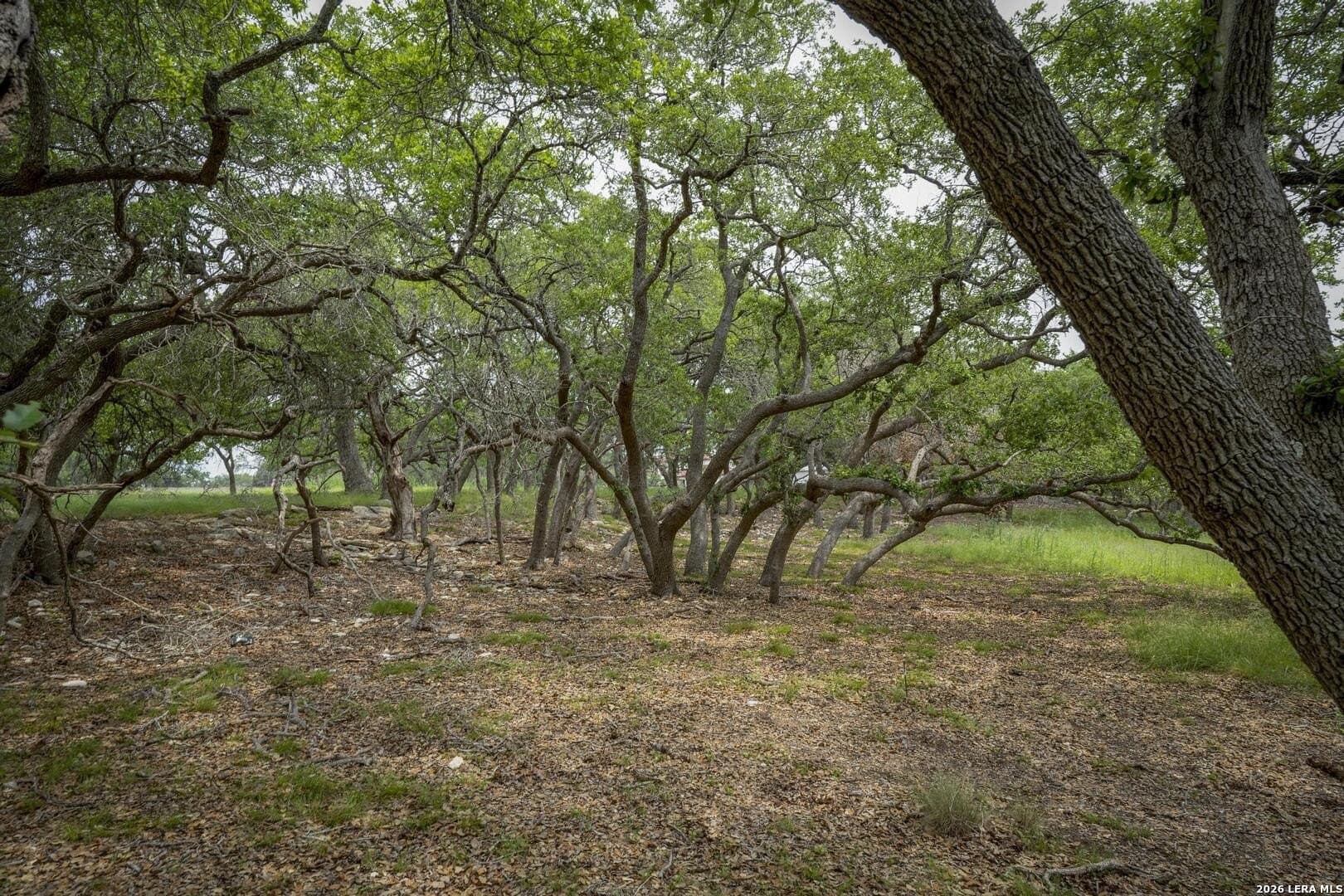 1.01 acres in Comal County - photo 21