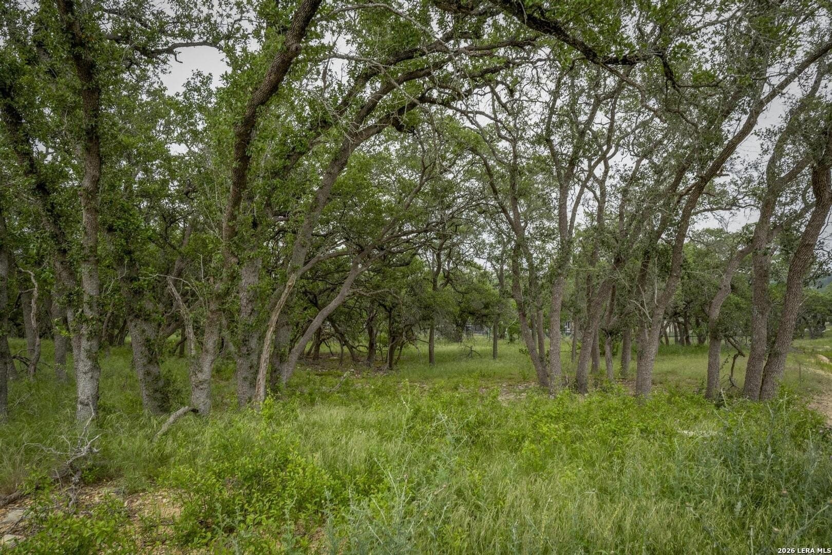 1.01 acres in Comal County - photo 11