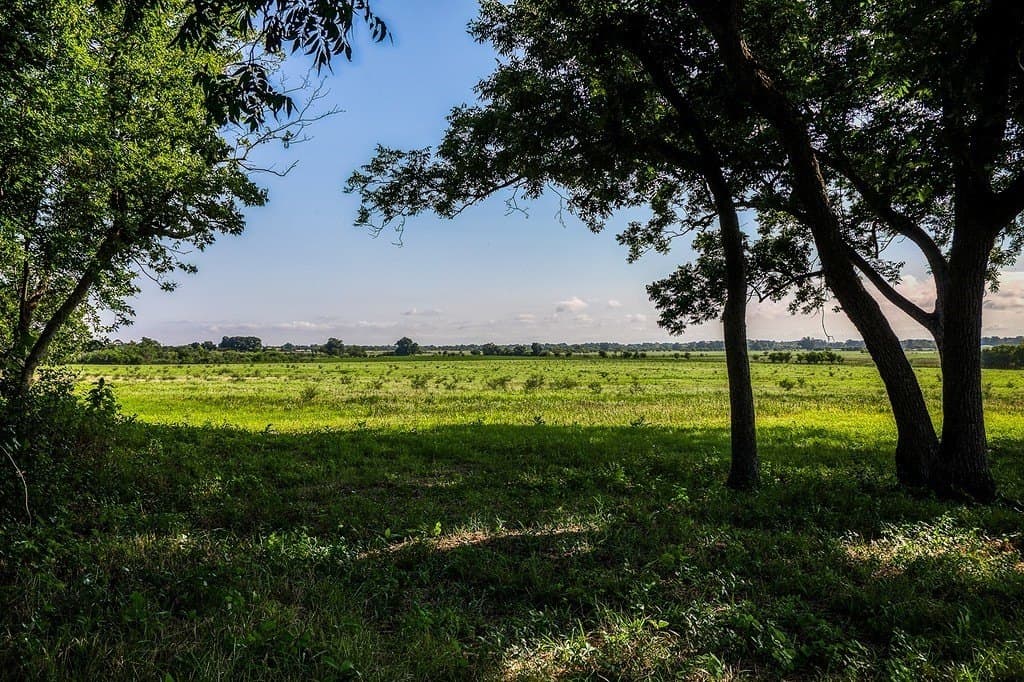 15.21 acres in Washington County gallery image 2