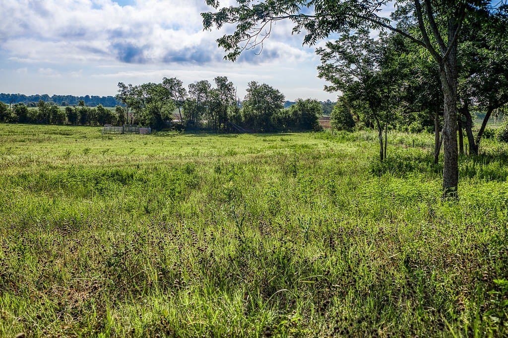 15.21 acres in Washington County gallery image 4