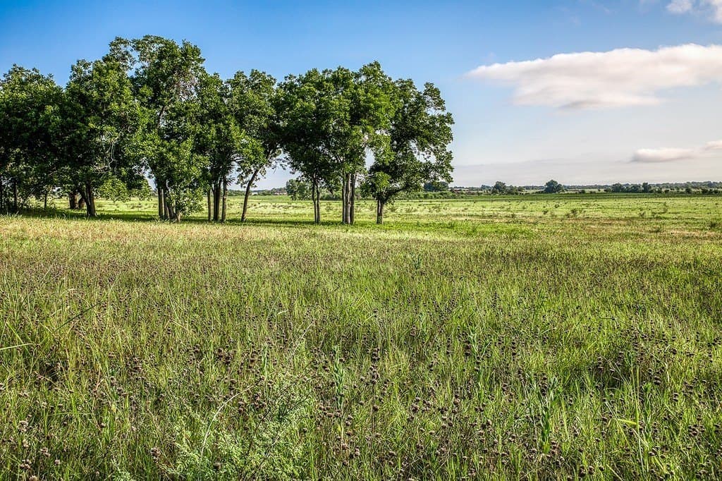 15.21 acres in Washington County gallery image 3