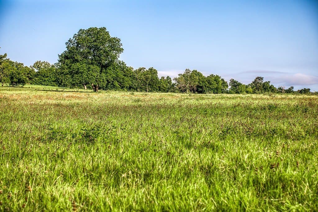 15.21 acres in Washington County featured view