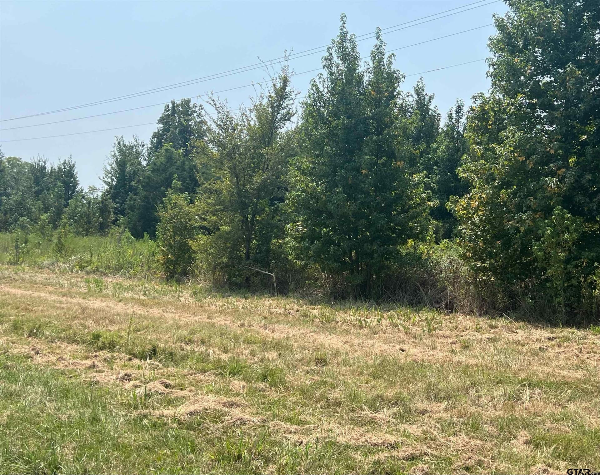 1.2 acres in Titus County