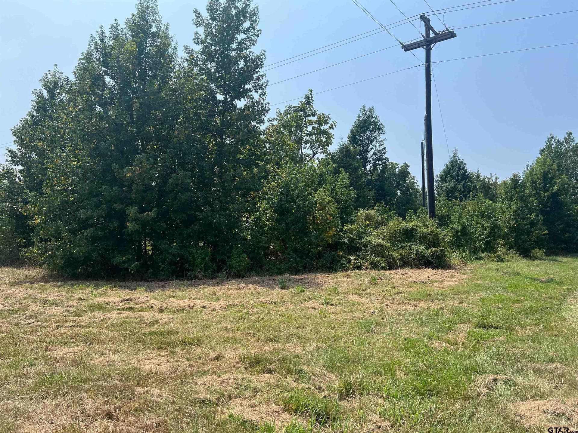 1.2 acres in Titus County gallery image 2