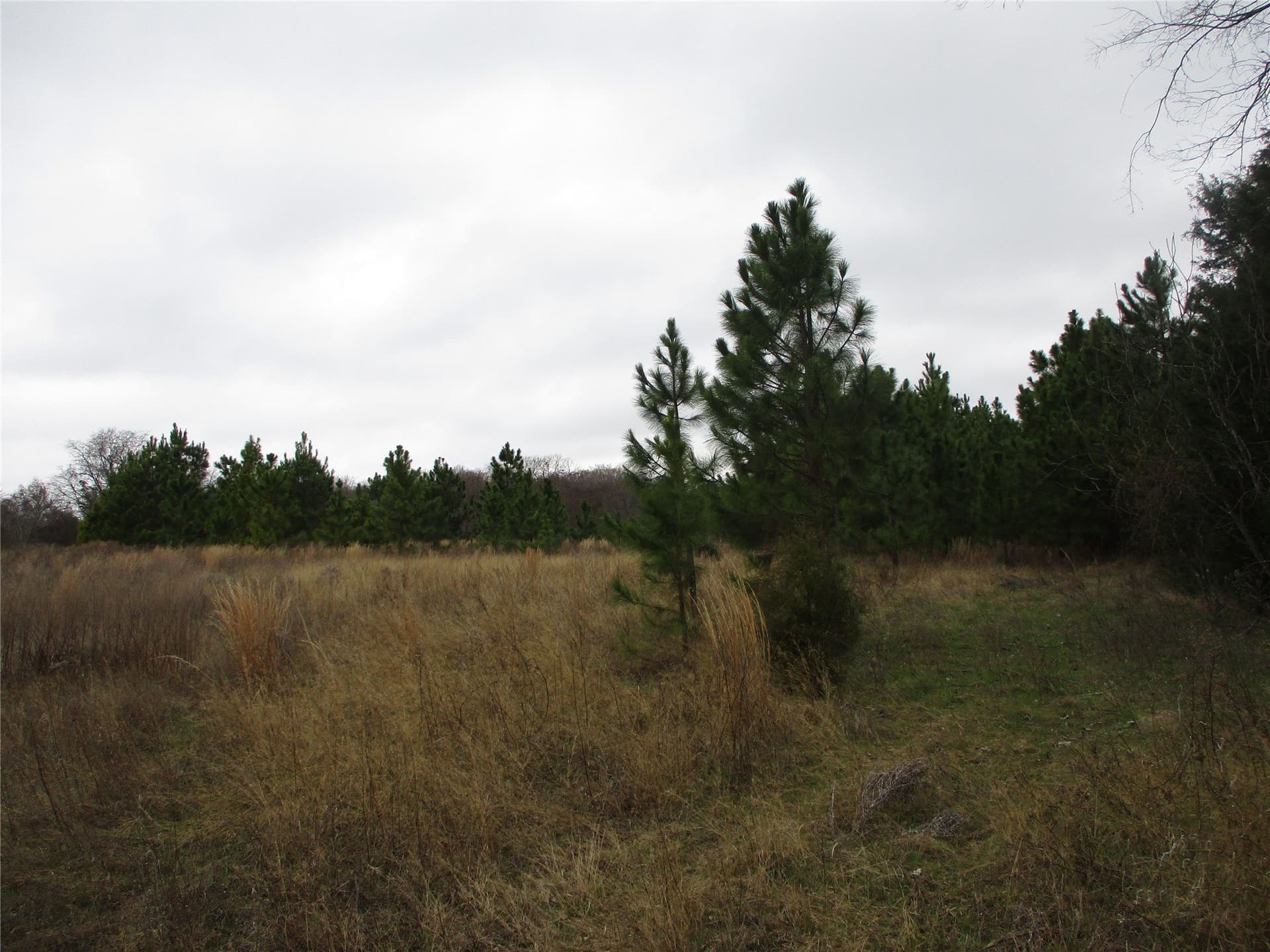 2.08 acres in Rains County - photo 6