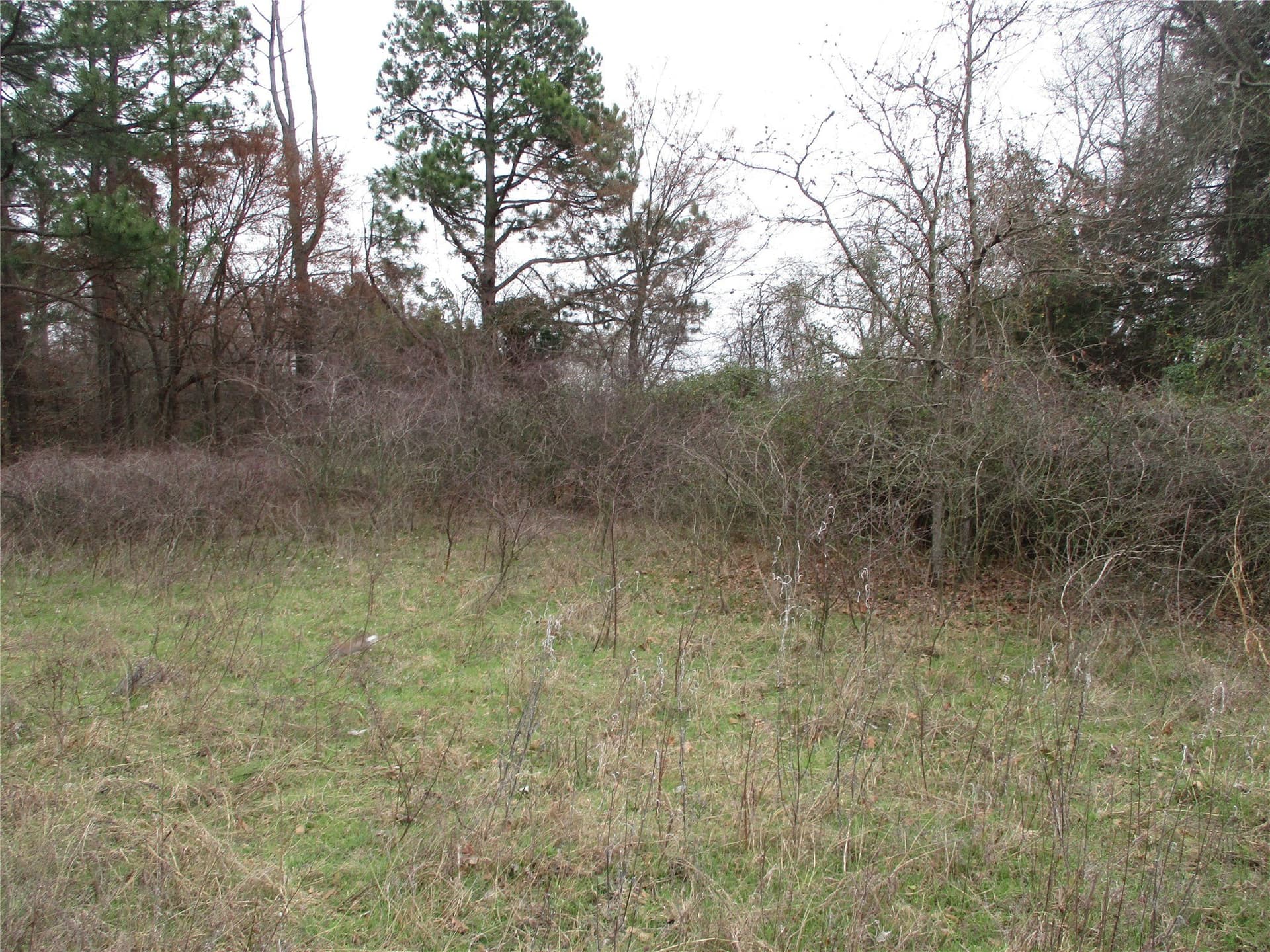 2.08 acres in Rains County featured view