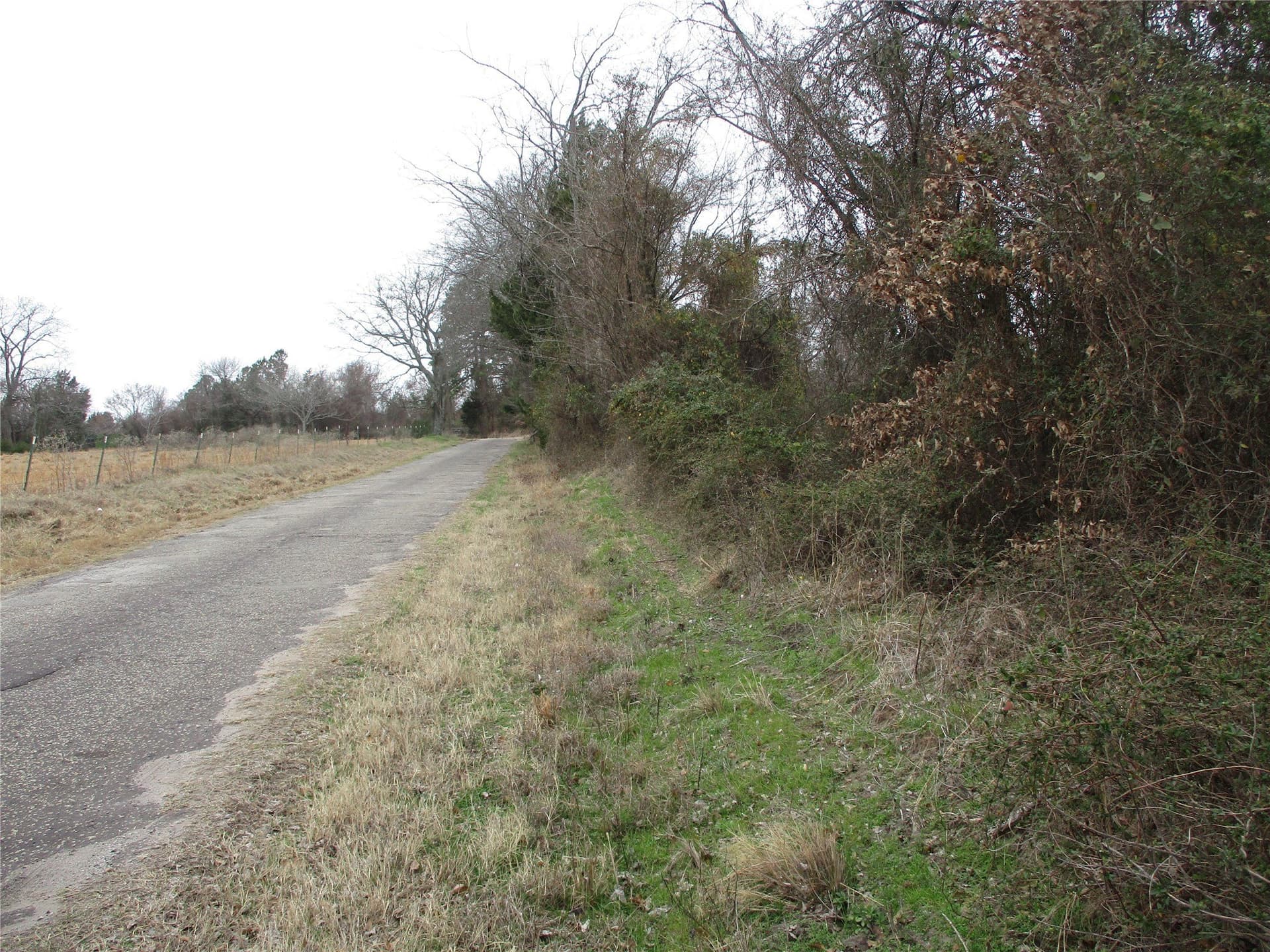 2.08 acres in Rains County gallery image 2
