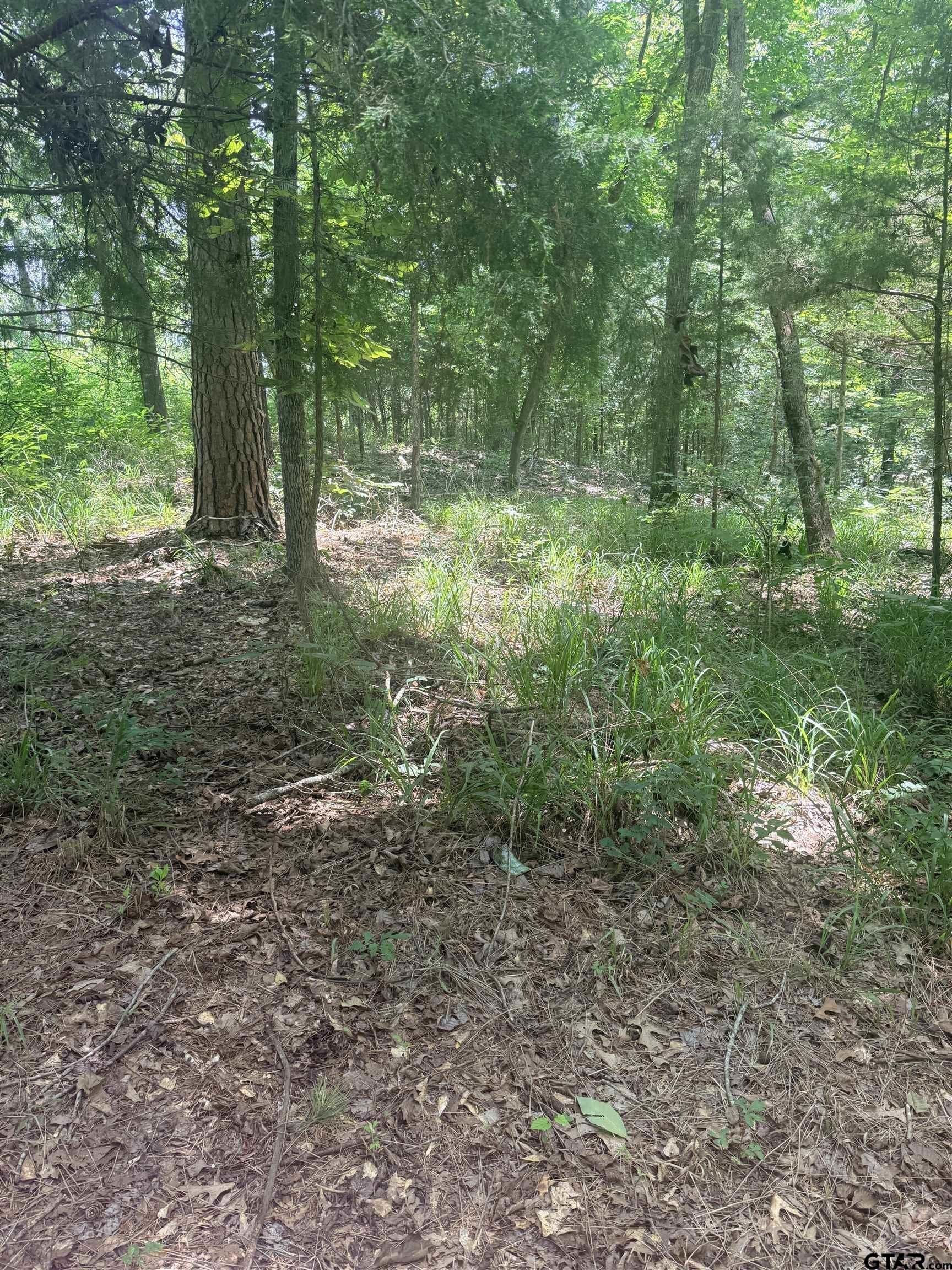 0.66 acres in Cherokee County