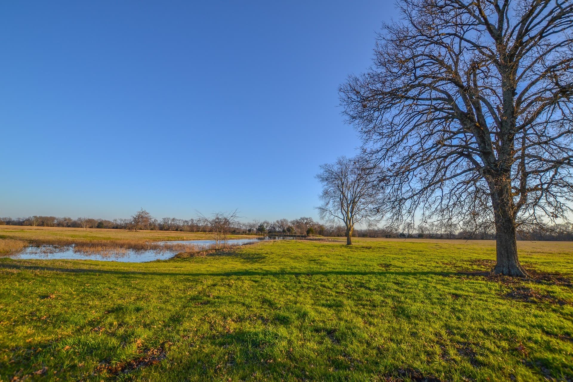 480 acres in Rains County - photo 12