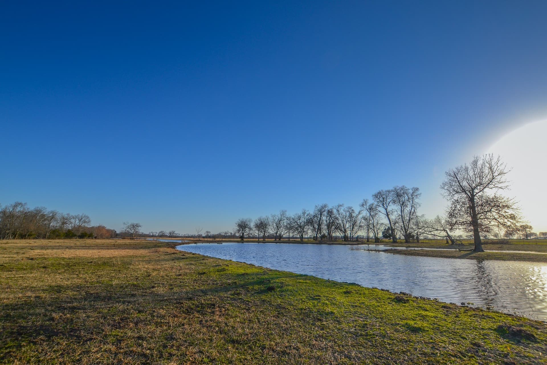 480 acres in Rains County - photo 18