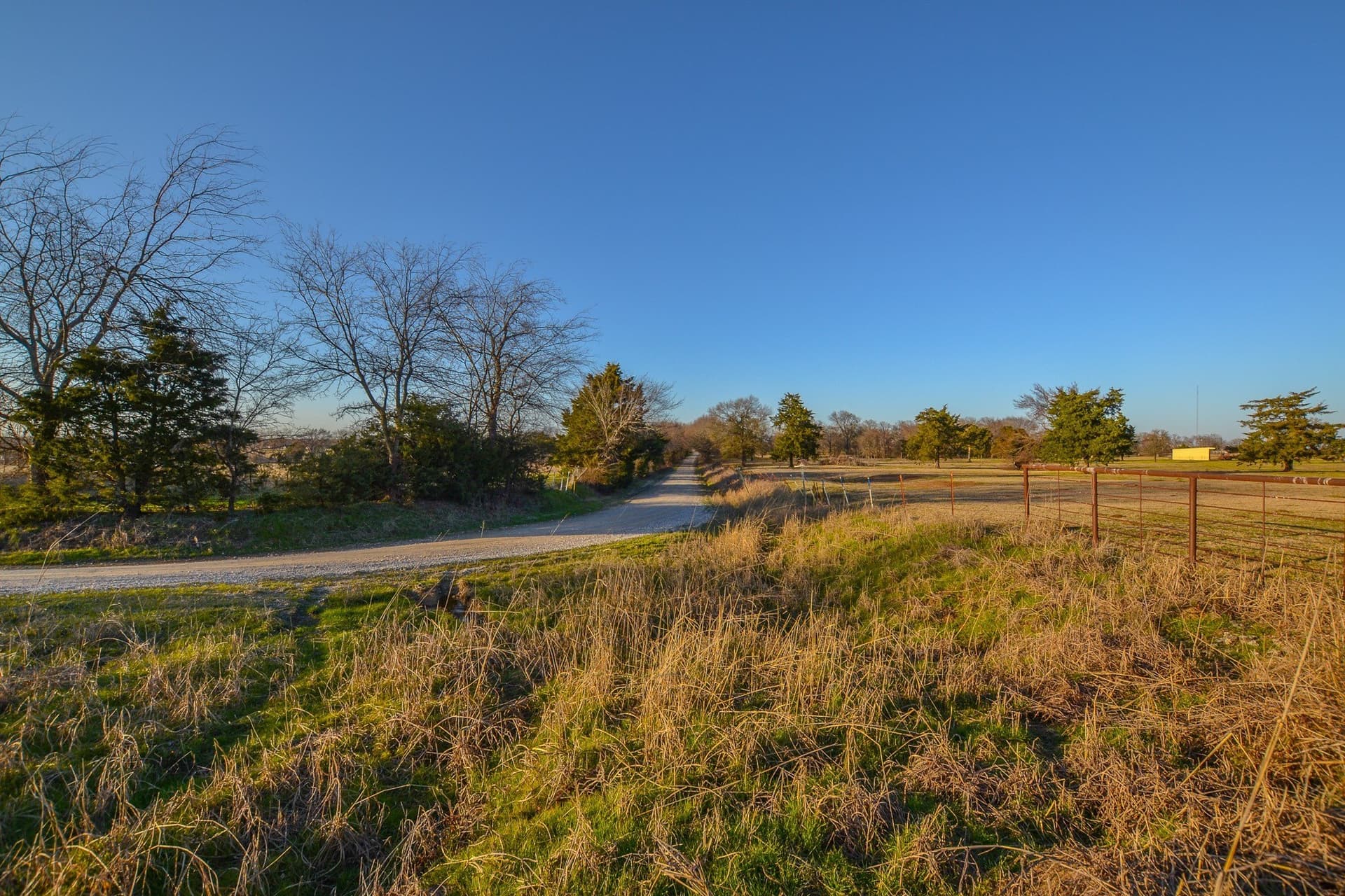 480 acres in Rains County - photo 7