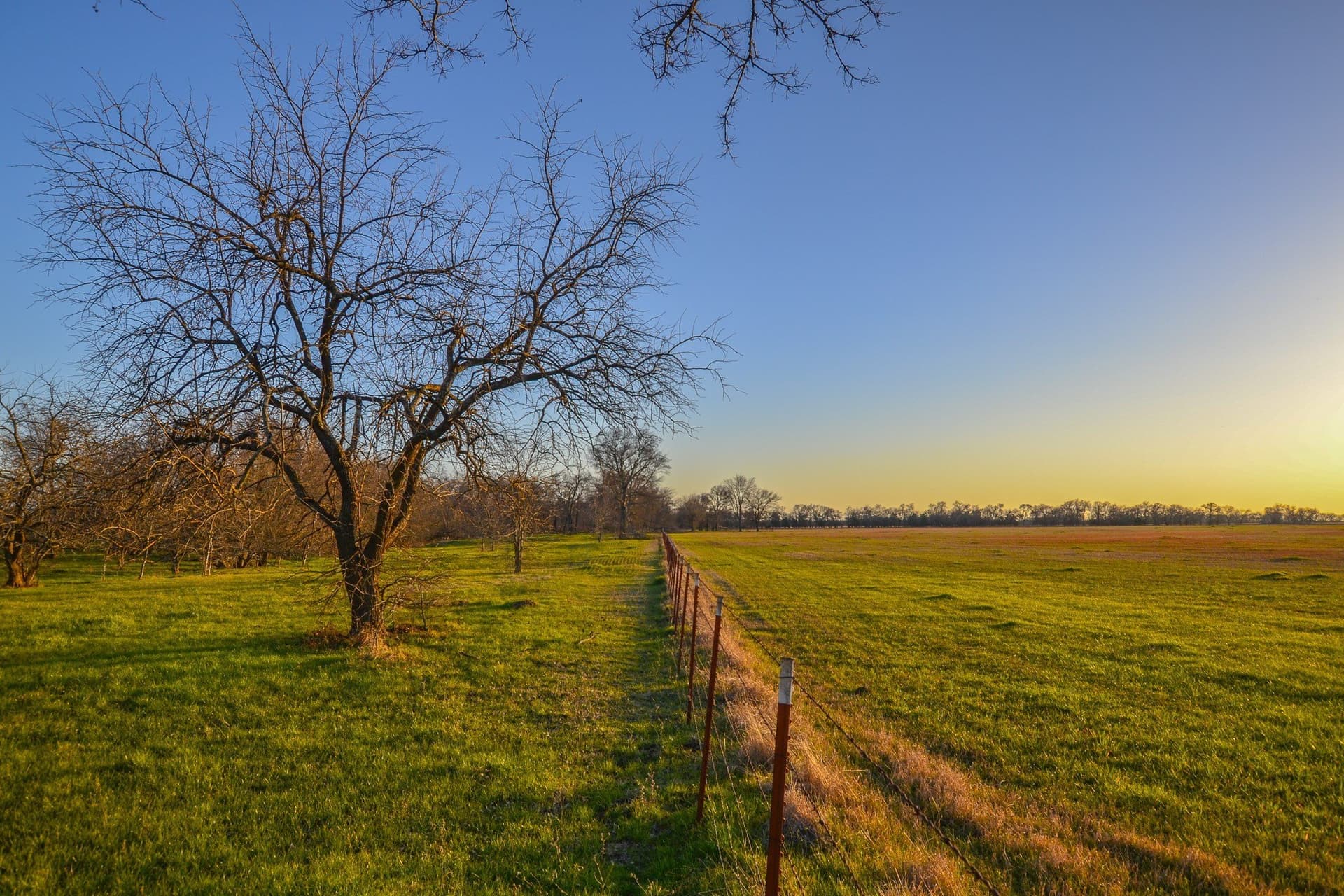 480 acres in Rains County gallery image 4