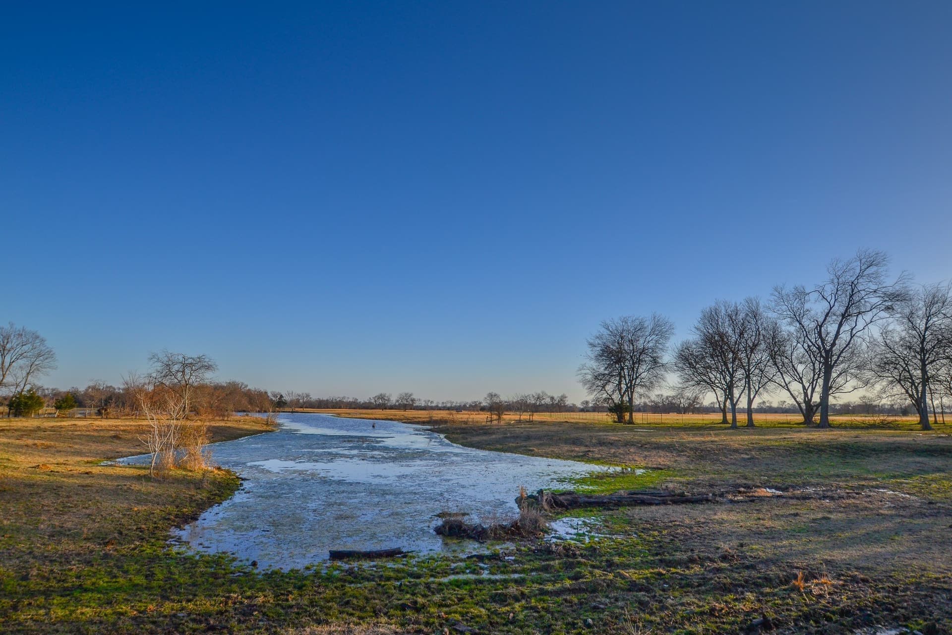 480 acres in Rains County - photo 8