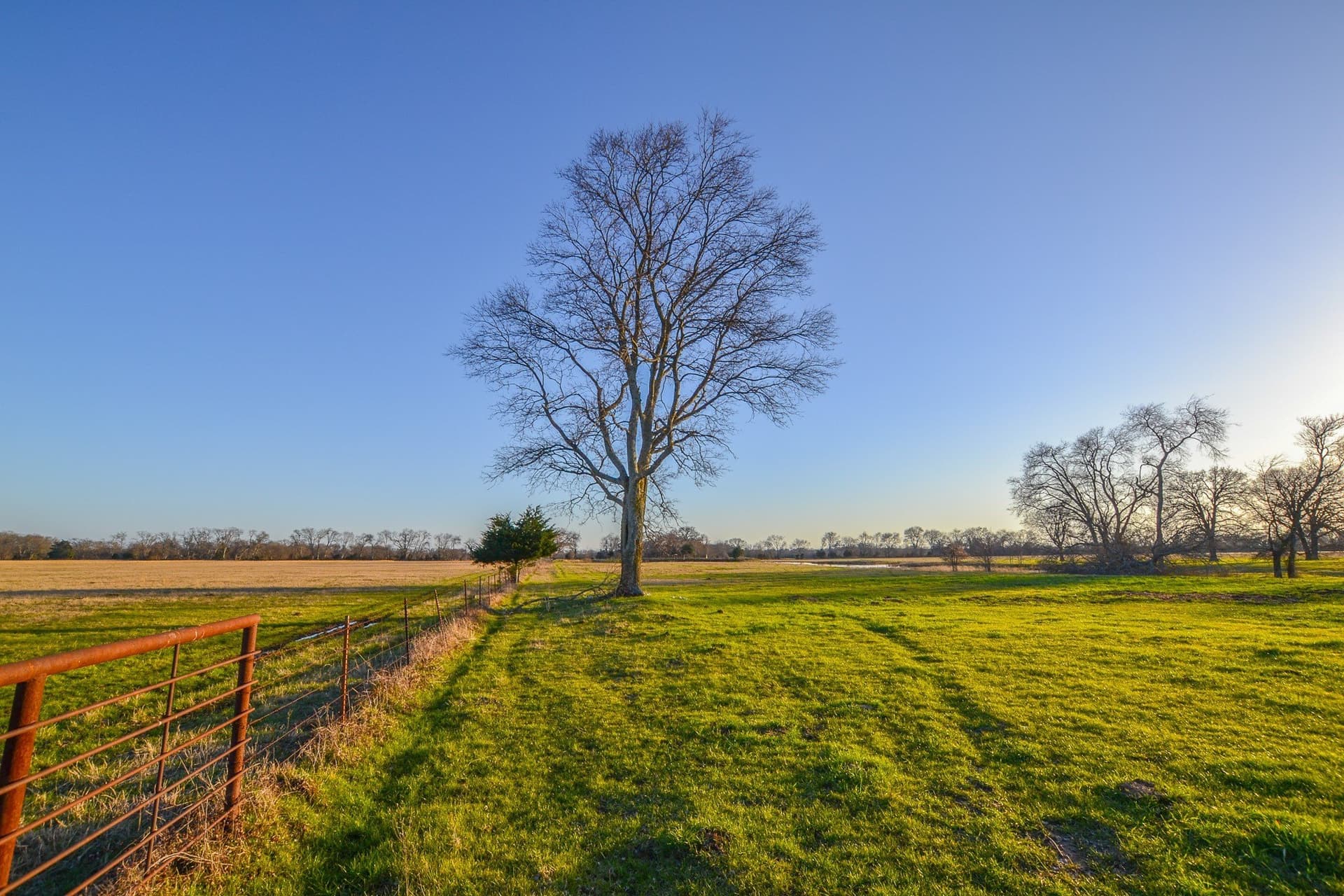480 acres in Rains County gallery image 2