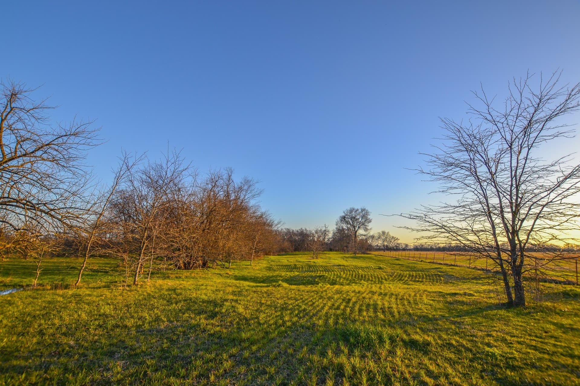 480 acres in Rains County featured view
