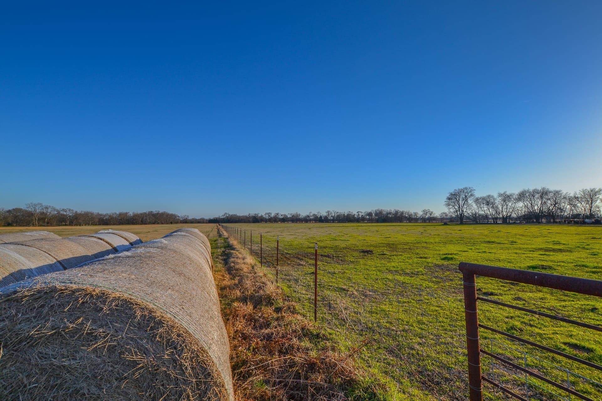 480 acres in Rains County - photo 19