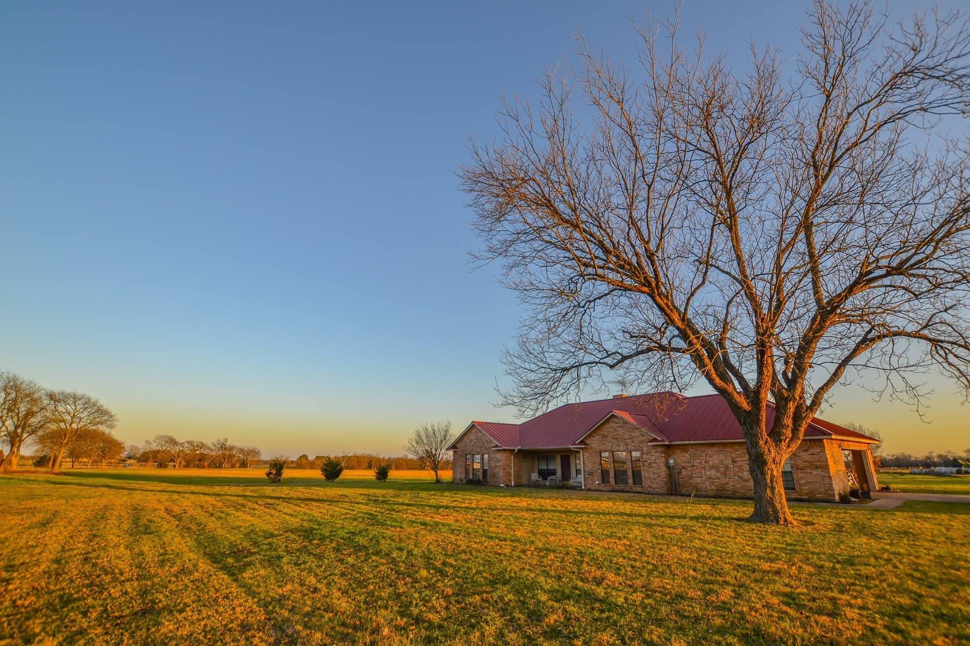 480 acres in Rains County - photo 34