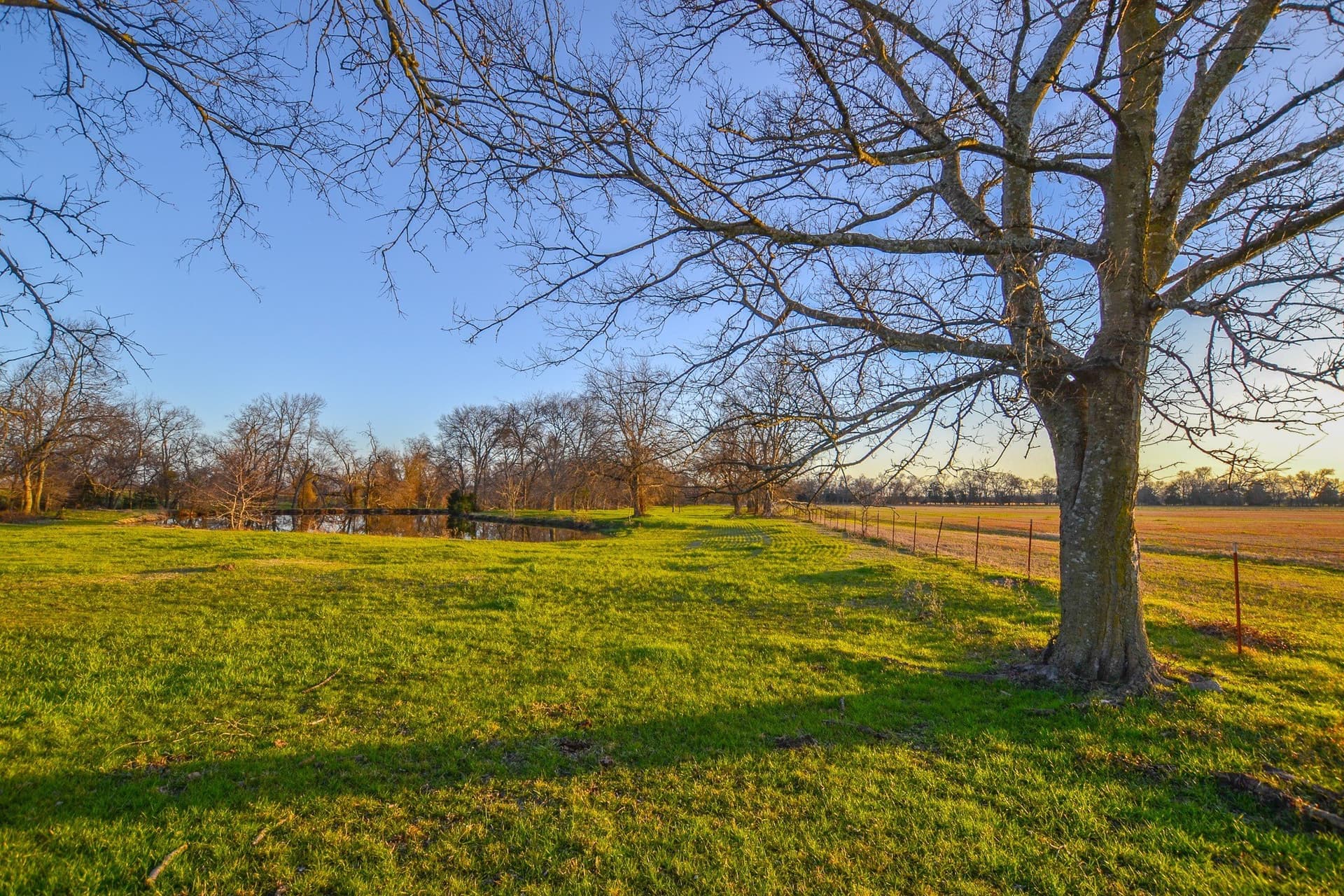 480 acres in Rains County - photo 20