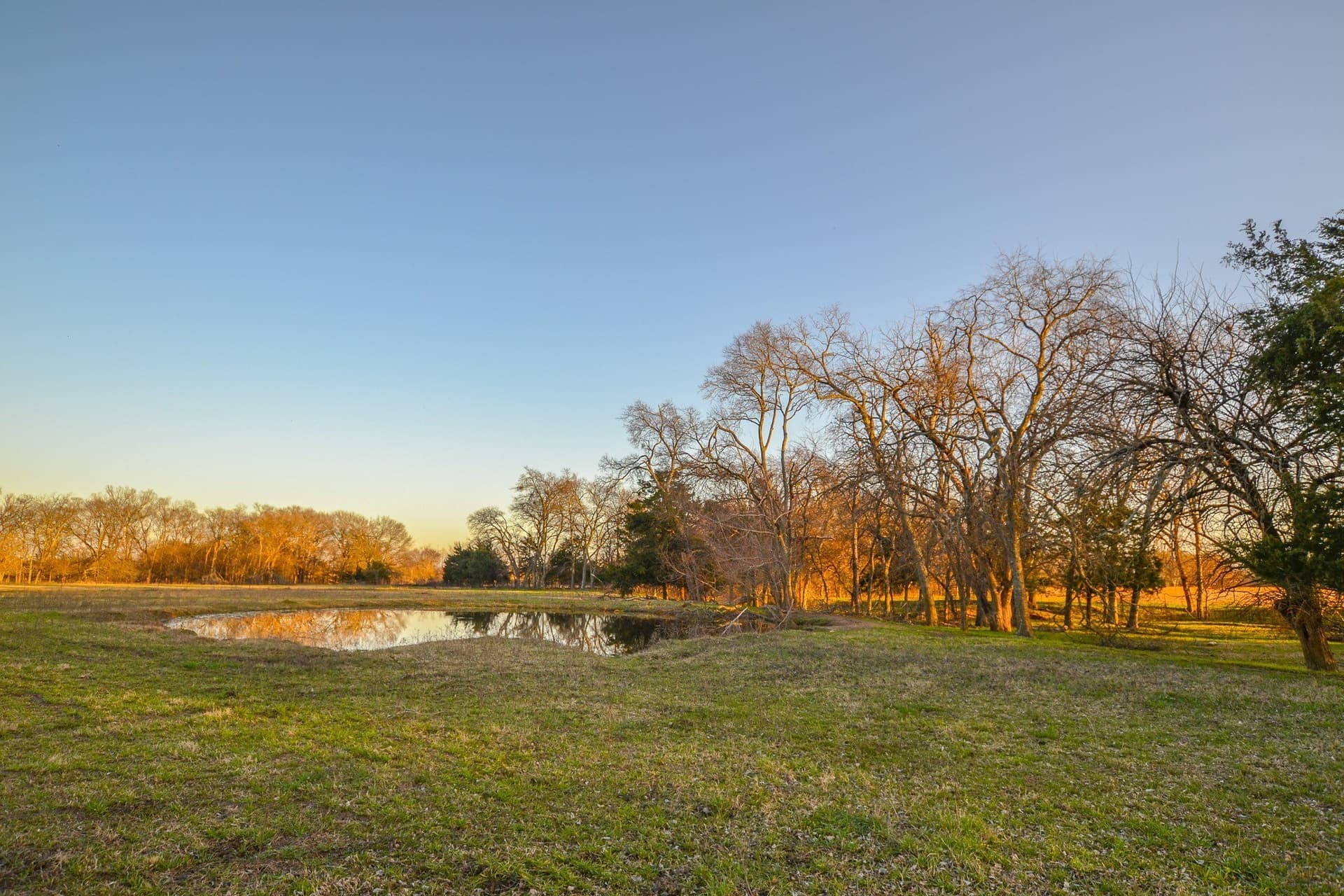 480 acres in Rains County - photo 15