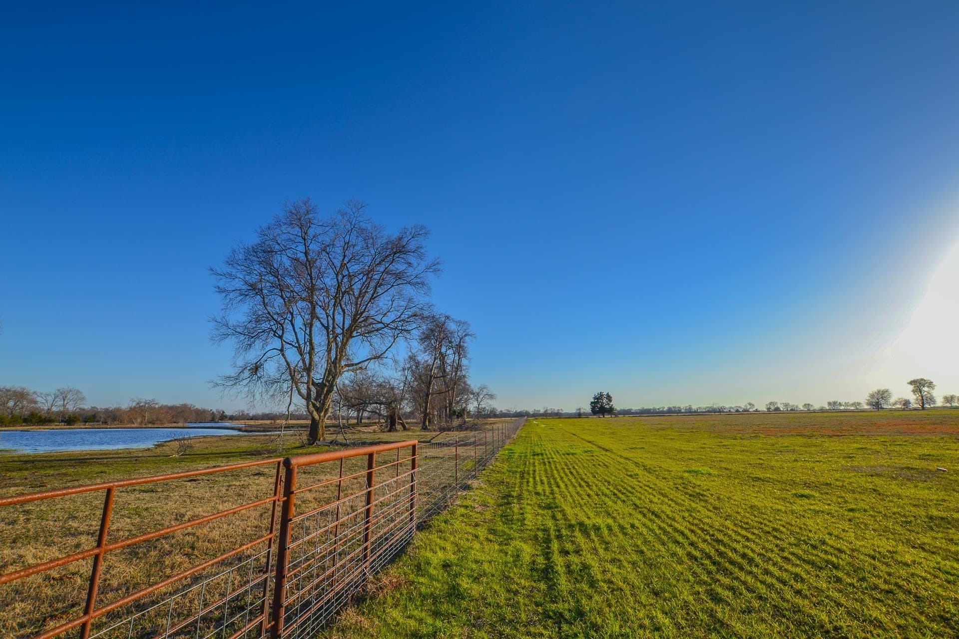 480 acres in Rains County - photo 9