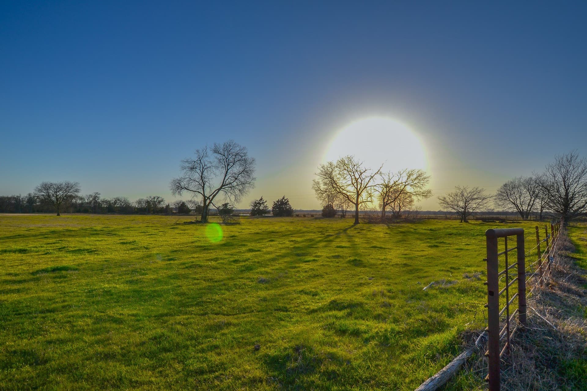 480 acres in Rains County - photo 16