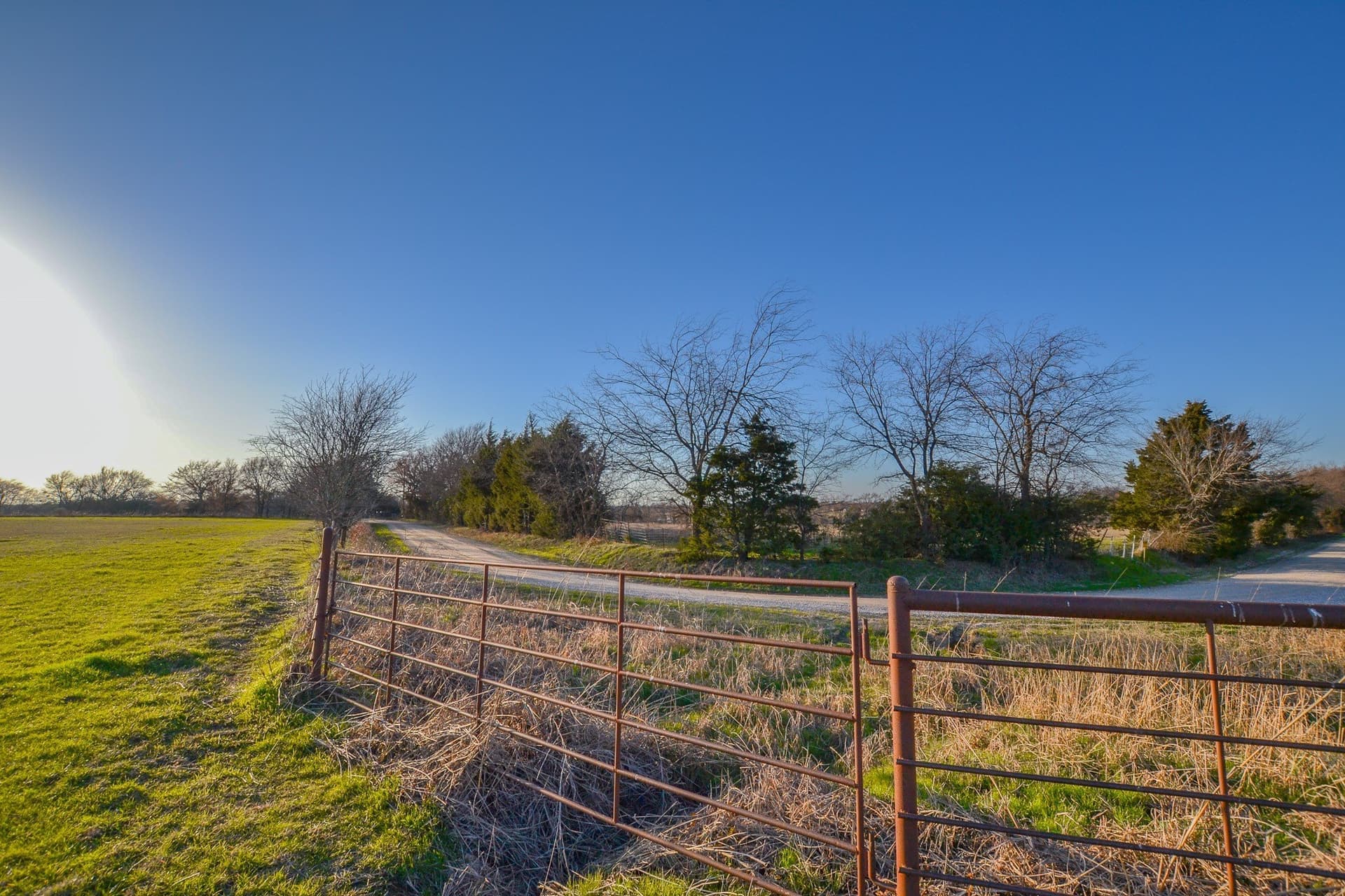 480 acres in Rains County - photo 6