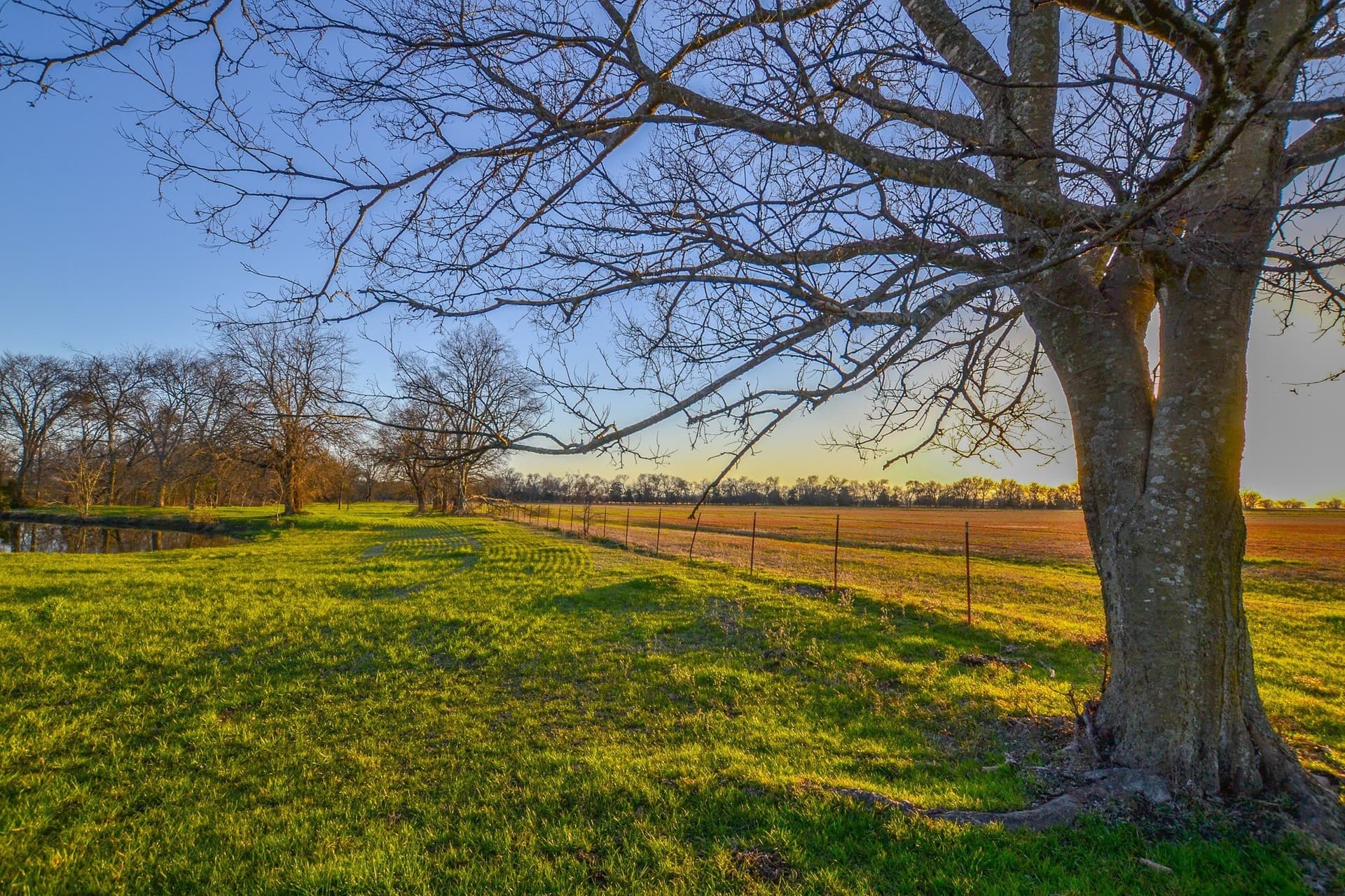 480 acres in Rains County