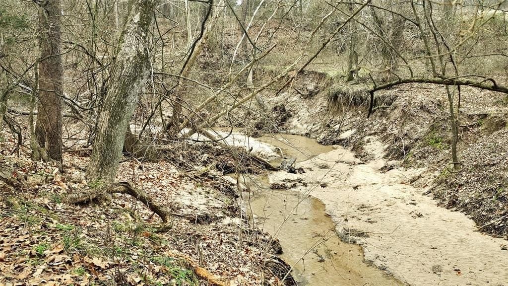 40.66 acres in Fannin County gallery image 3