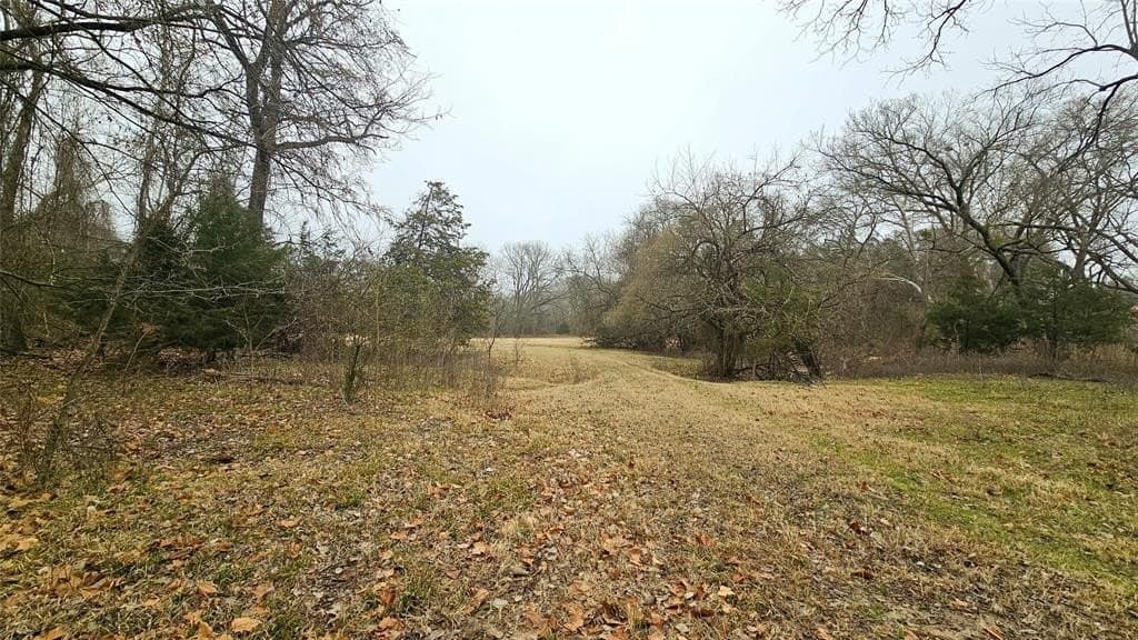 40.66 acres in Fannin County gallery image 2