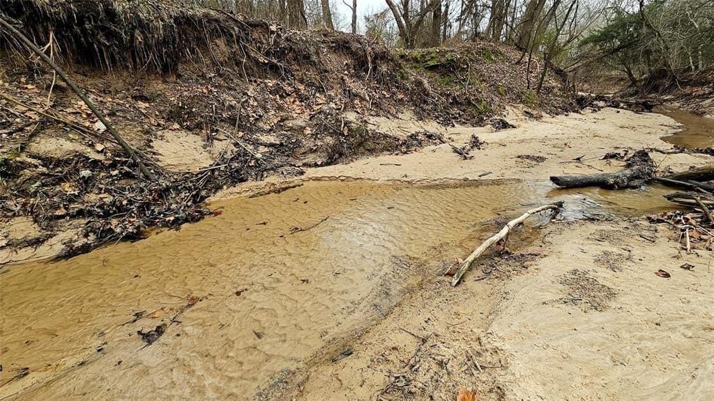 40.66 acres in Fannin County gallery image 4