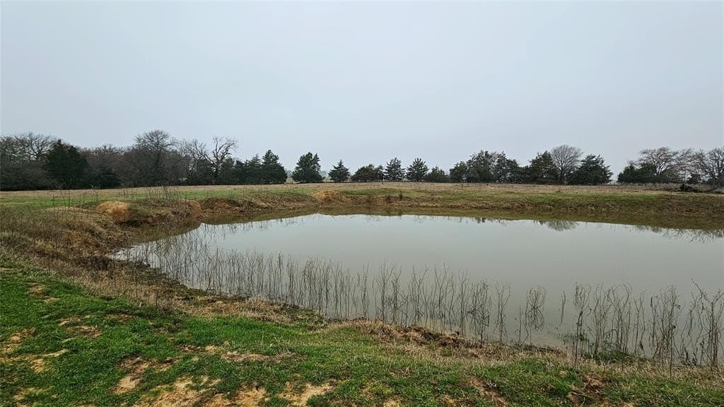 40.66 acres in Fannin County