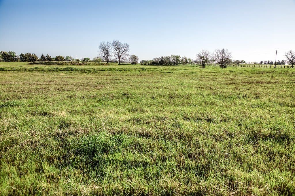 20 acres in Washington County - photo 4