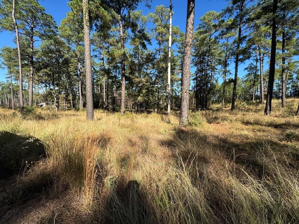 1.09 acres in Texas County