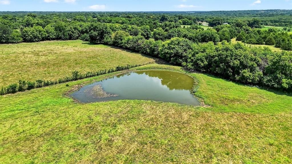 25 acres in Grayson County gallery image 4