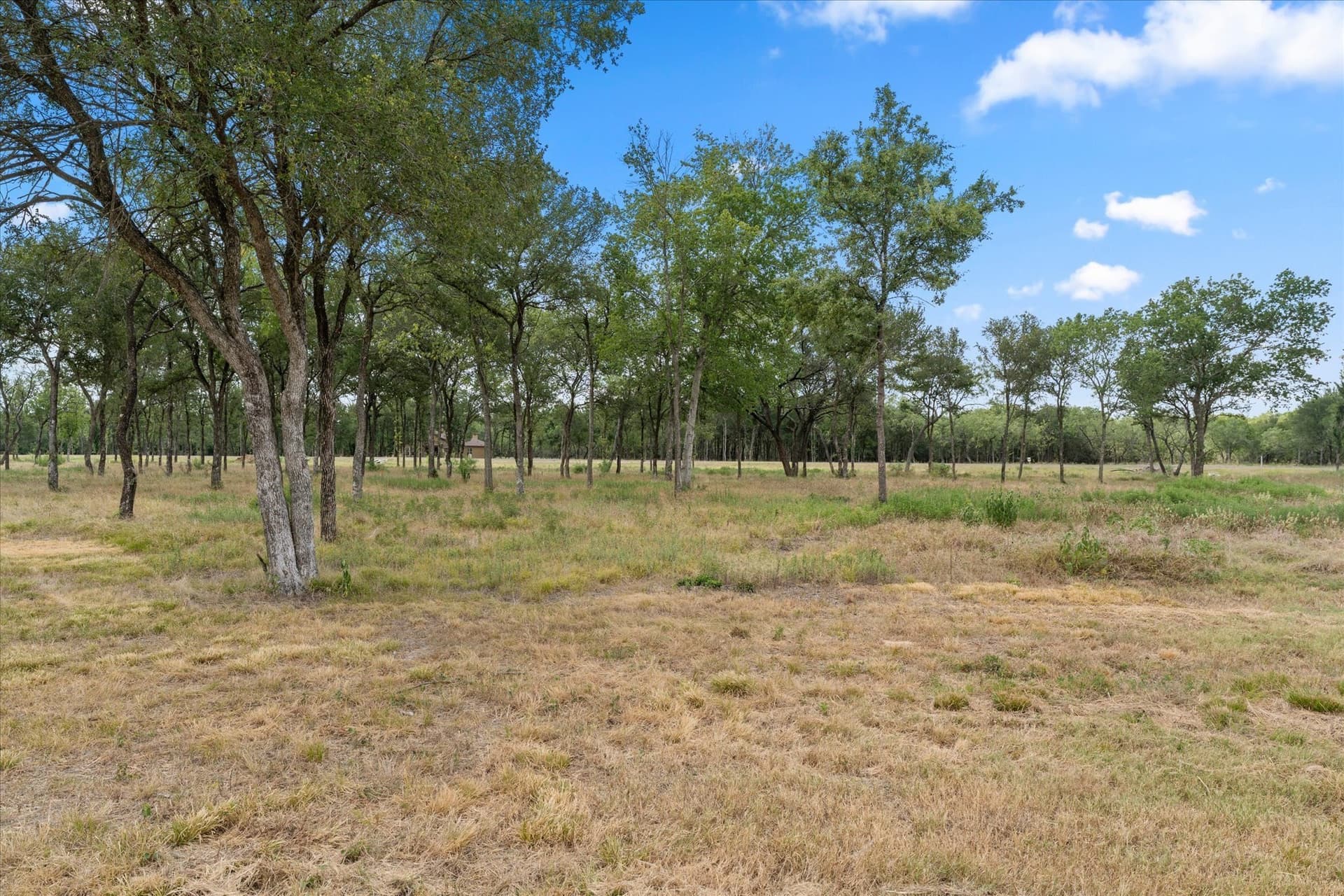 1.01 acres in Navarro County featured view