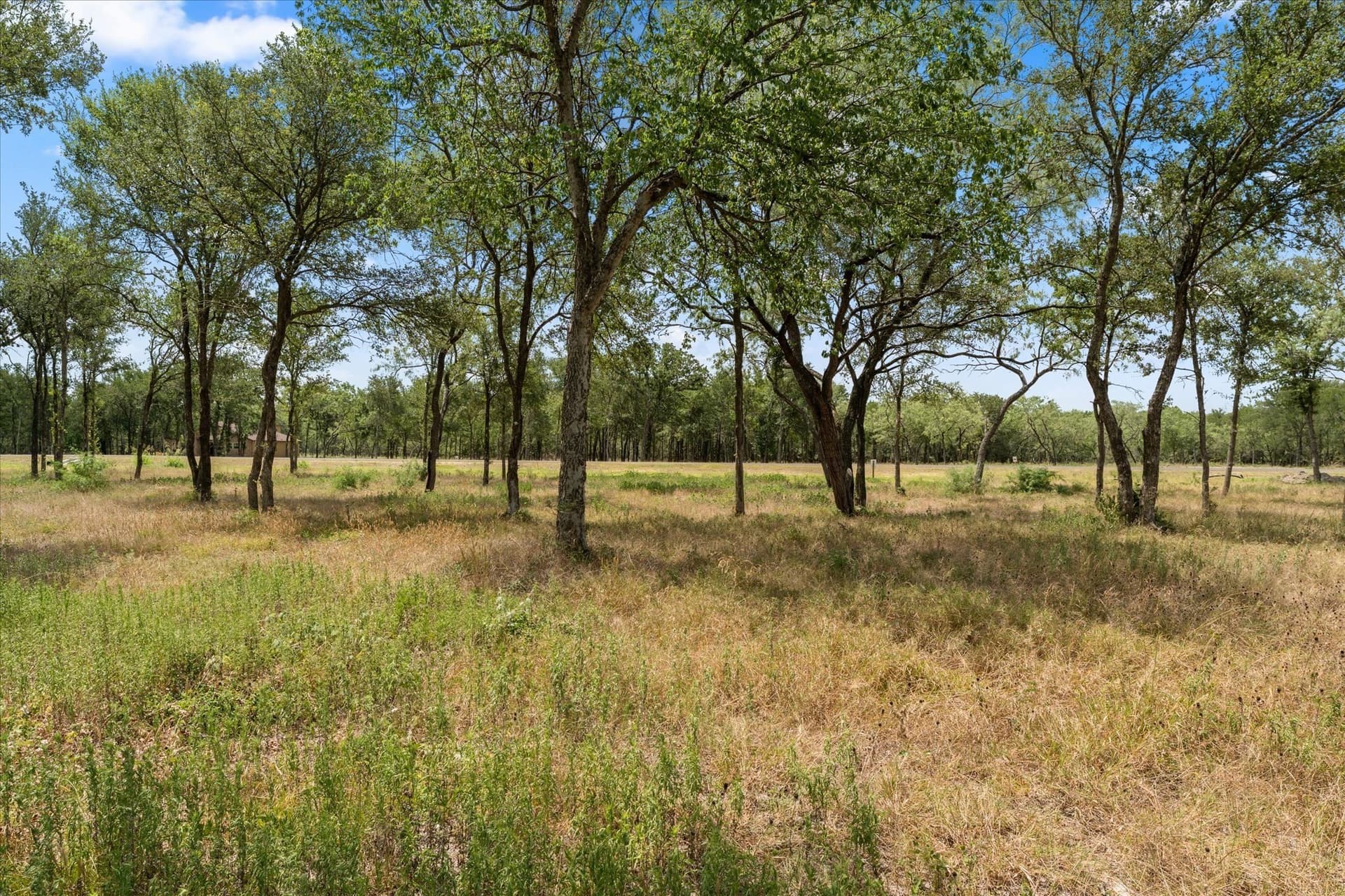 1.01 acres in Navarro County gallery image 4