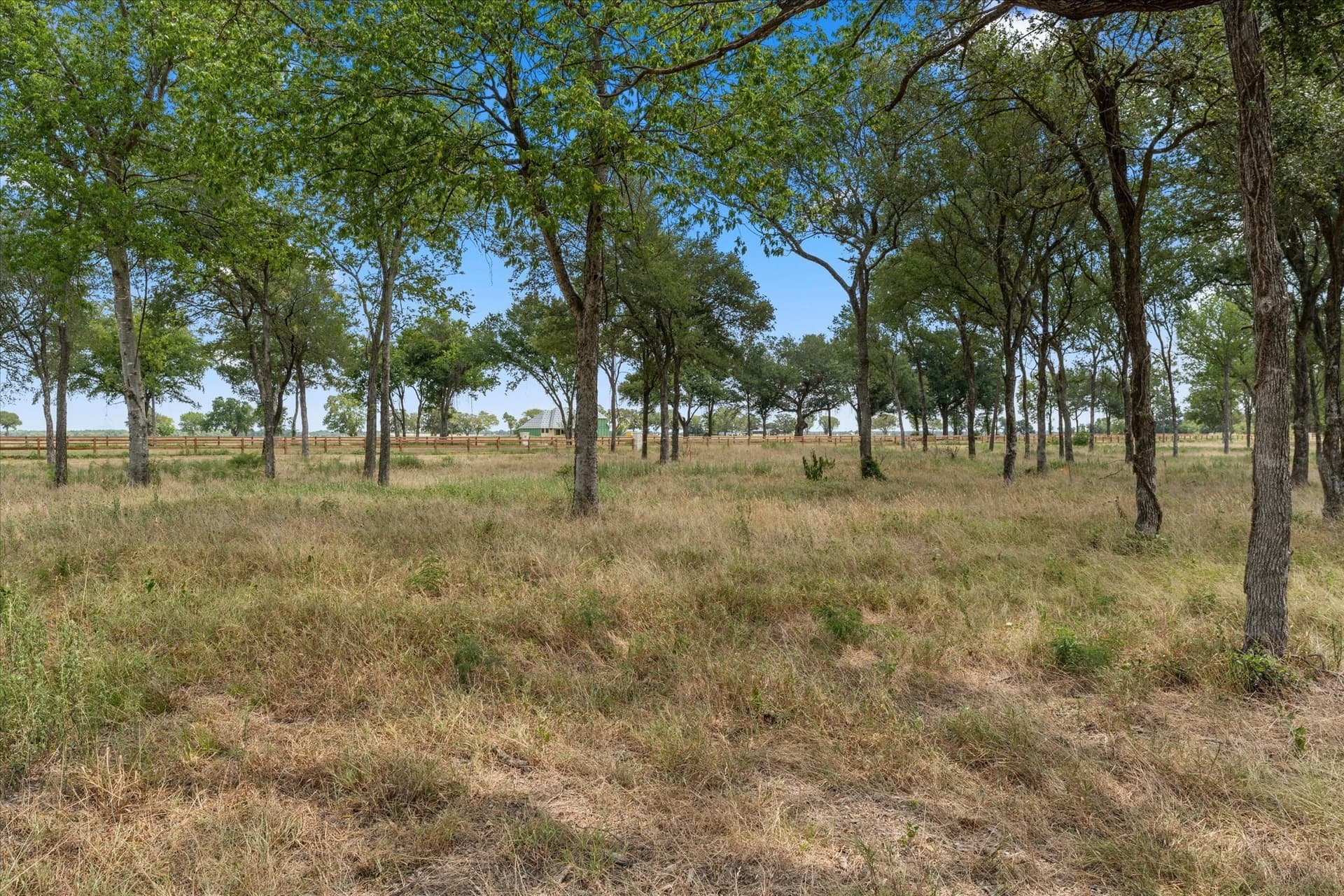 1.01 acres in Navarro County - photo 7