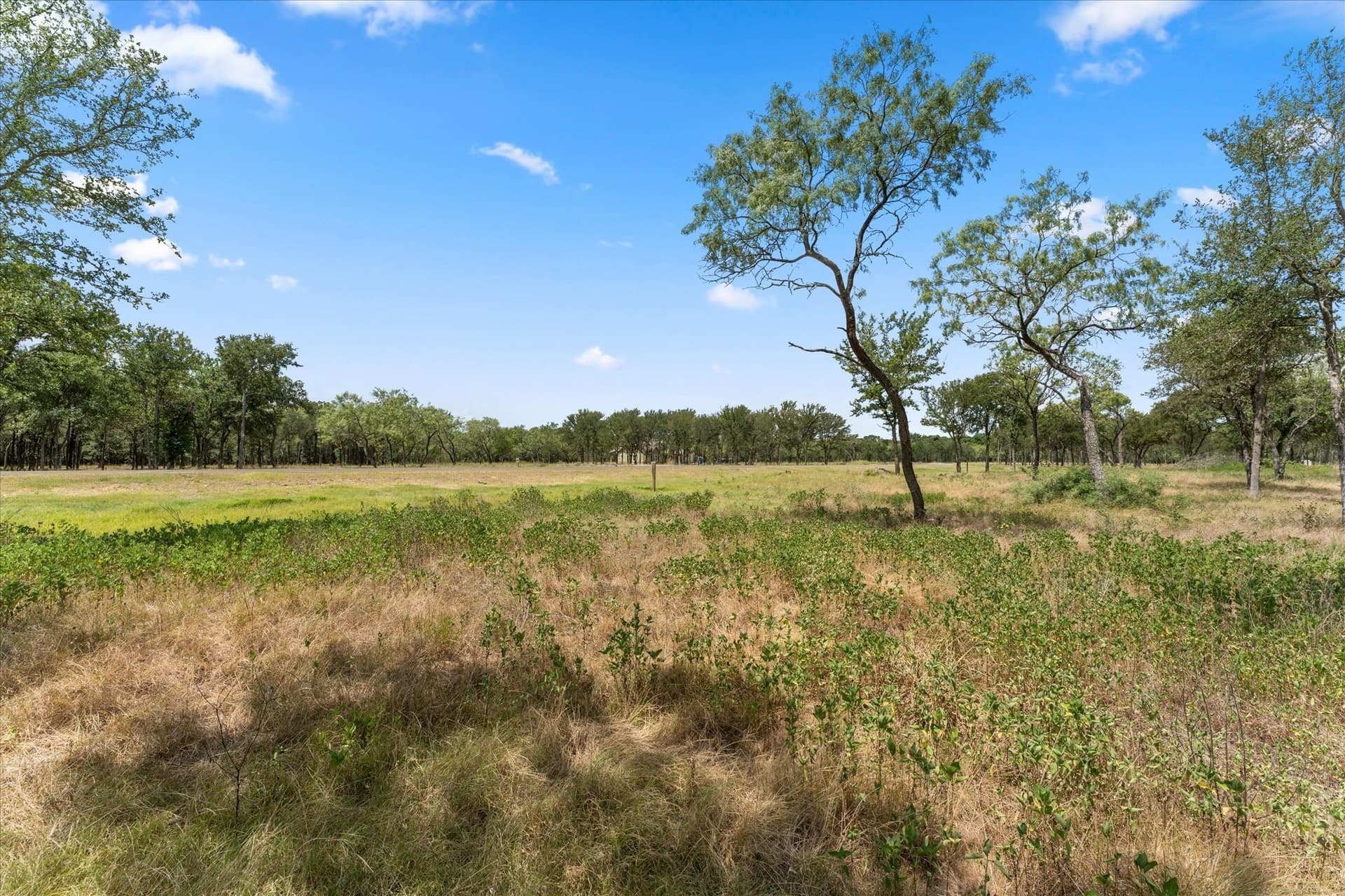 1.01 acres in Navarro County gallery image 3