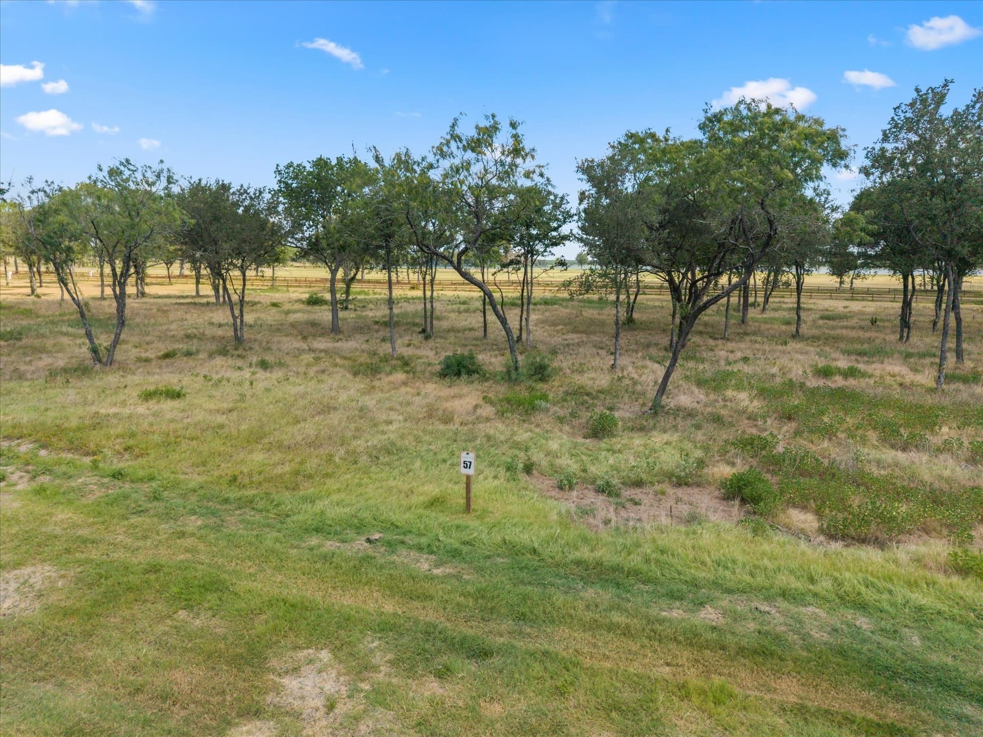 1.01 acres in Navarro County gallery image 2