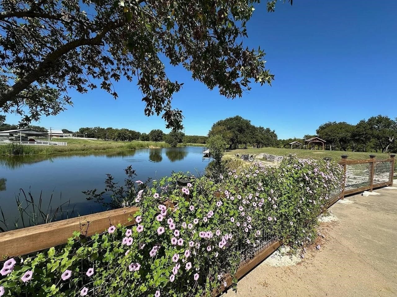 2.01 acres in Hood County - photo 12