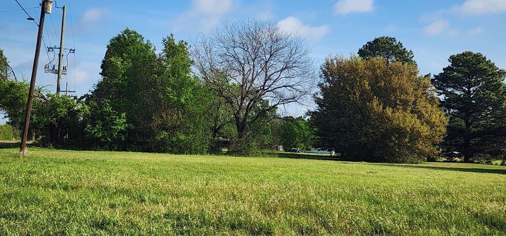 0.17 acres in Henderson County gallery image 3