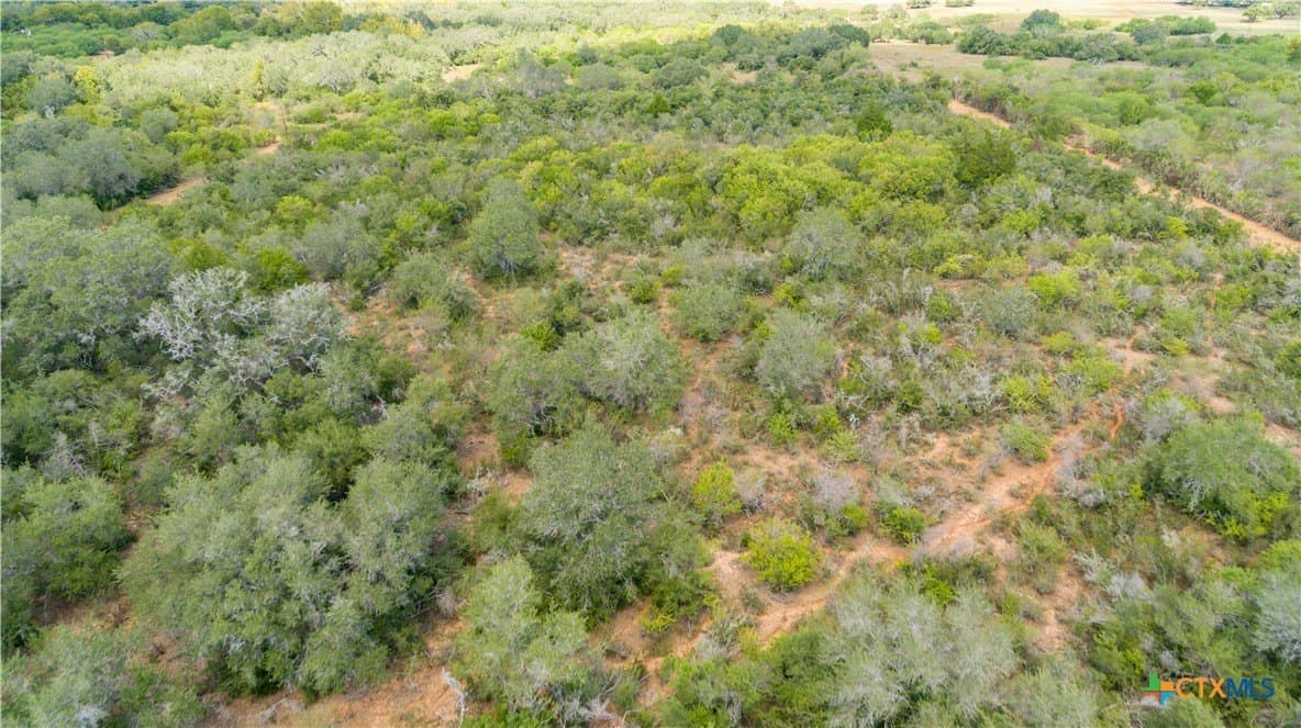 55 acres in DeWitt County featured view