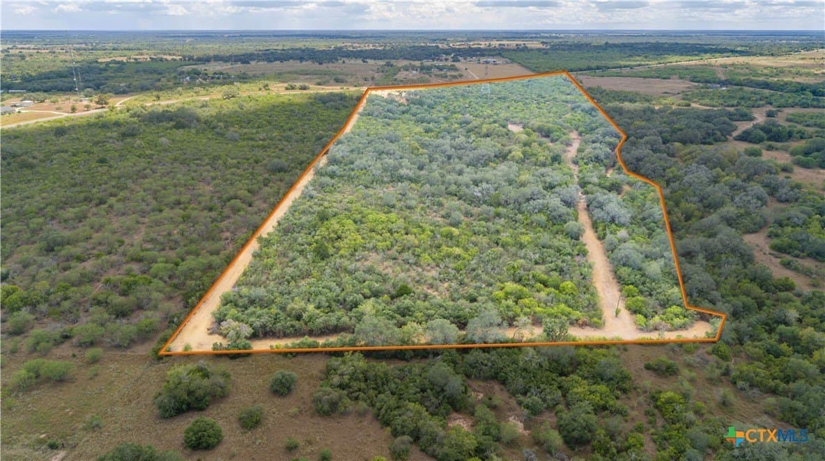 55 acres in DeWitt County gallery image 2