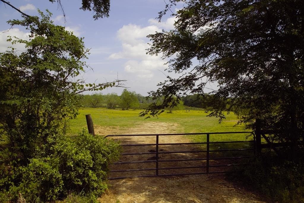 125.75 acres in Texas County