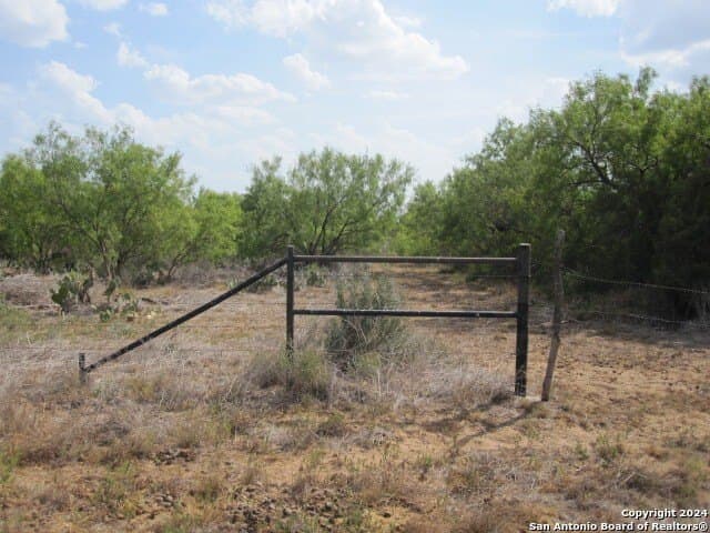 27.23 acres in Atascosa County gallery image 4