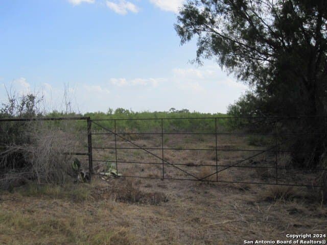 27.23 acres in Atascosa County gallery image 2