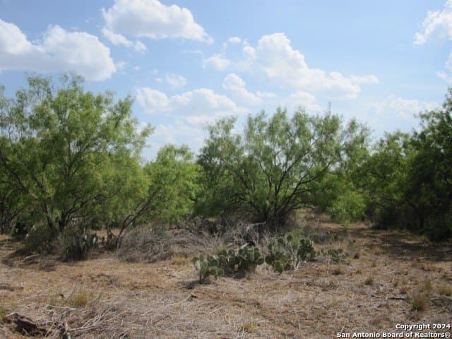 27.23 acres in Atascosa County