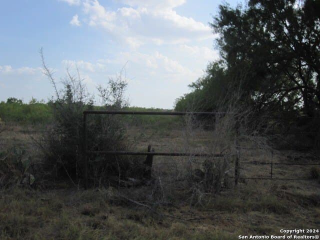 27.23 acres in Atascosa County gallery image 3